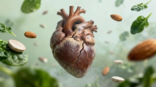 The Silent Threat: Low Magnesium Intake Linked to Increased Cardiovascular Disease Risk